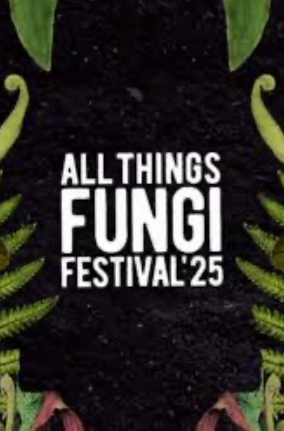 Festival Image